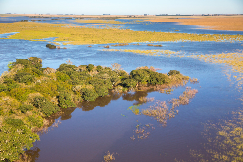 Ibera Wetlands Argentina